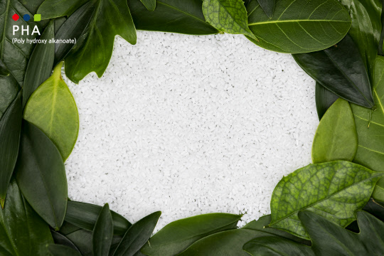 롯데케미칼이 연구개발 중인 생분해 소재 PHA. 롯데케미칼 제공